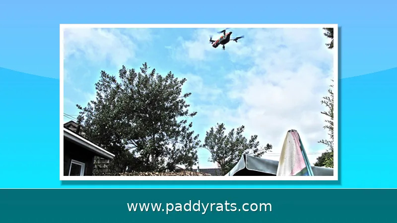 Unauthorized Drone Over Private Property: How to Legally Respond Without Jamming or Shooting It Down